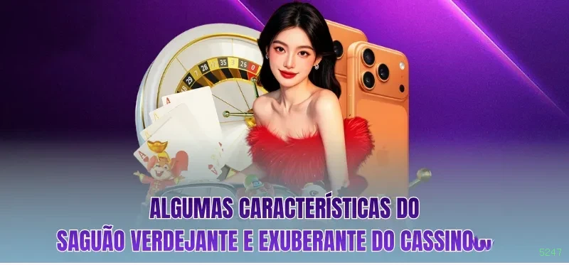 Login 5247 - acesso à conta